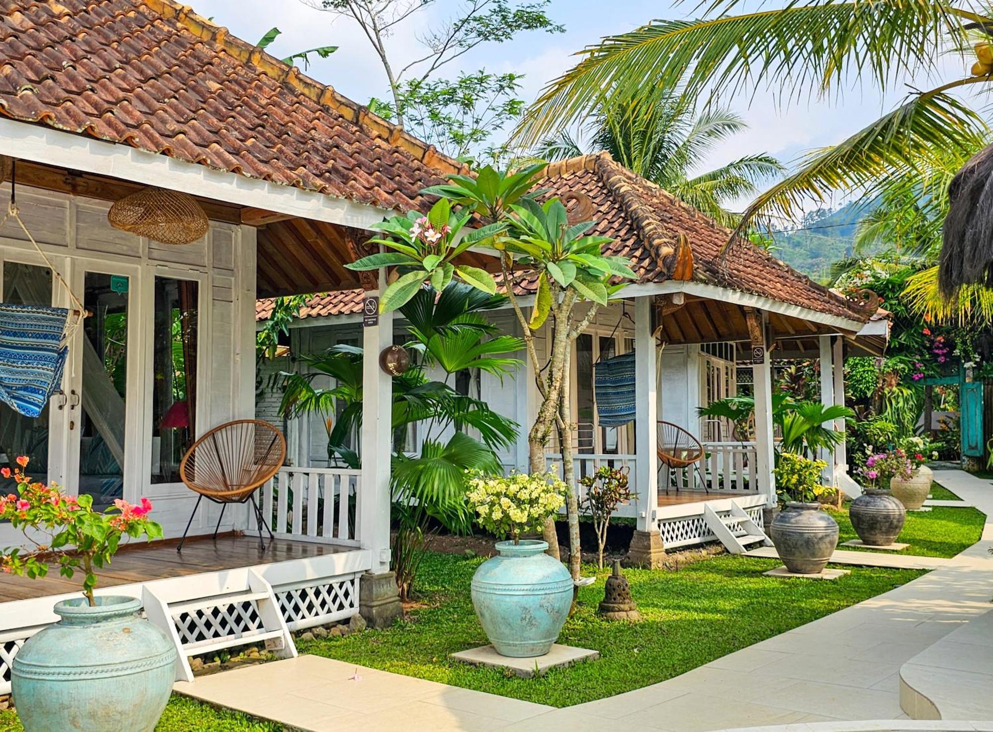 Janur Bungalow Магеланг Экстерьер фото
